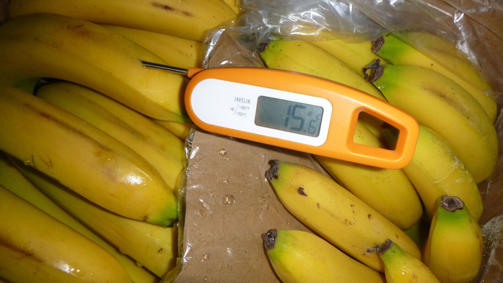 Random inspection of boxes with damaged bananas. Temperature measurement