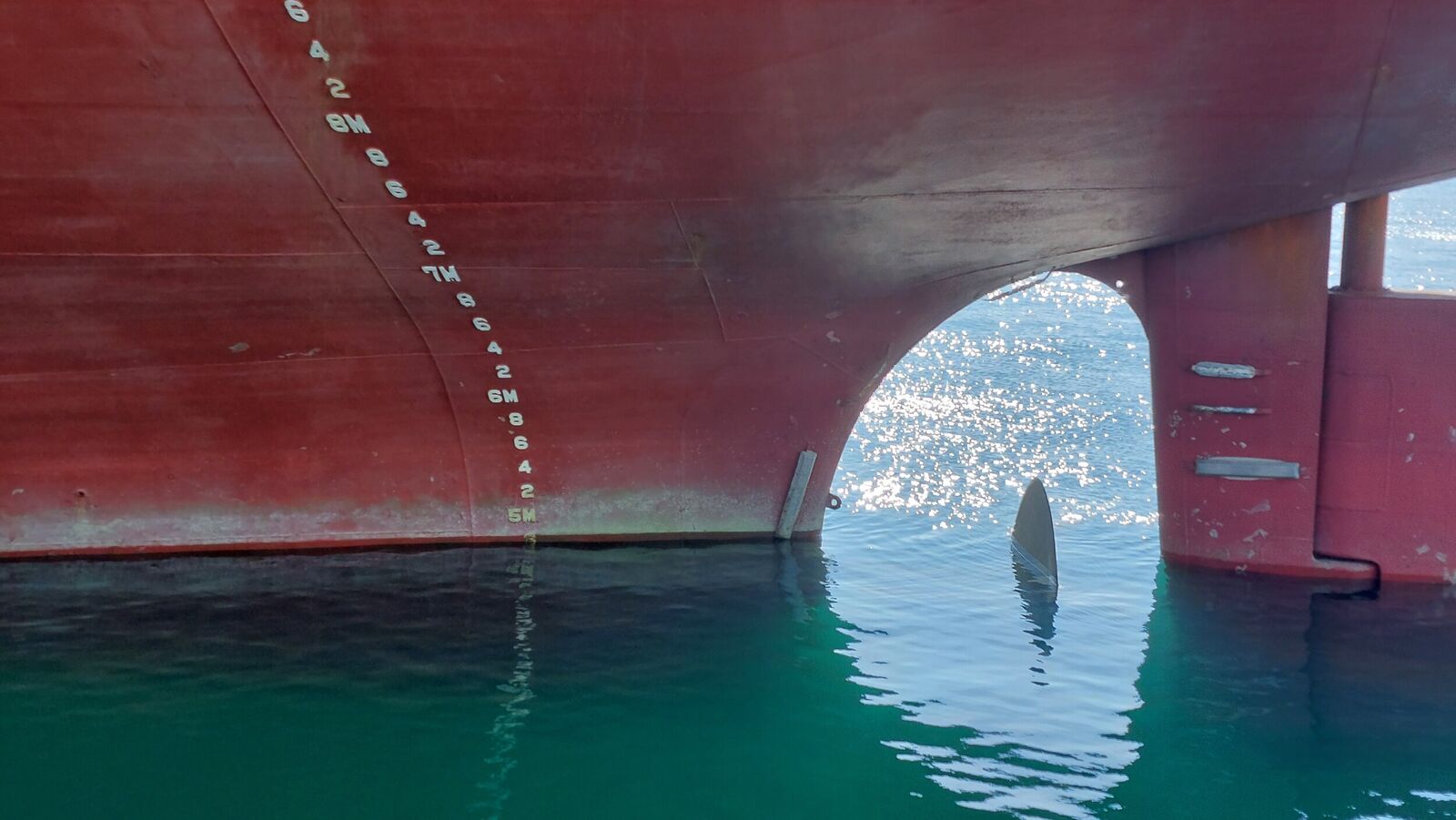 Reading of aft draught marks