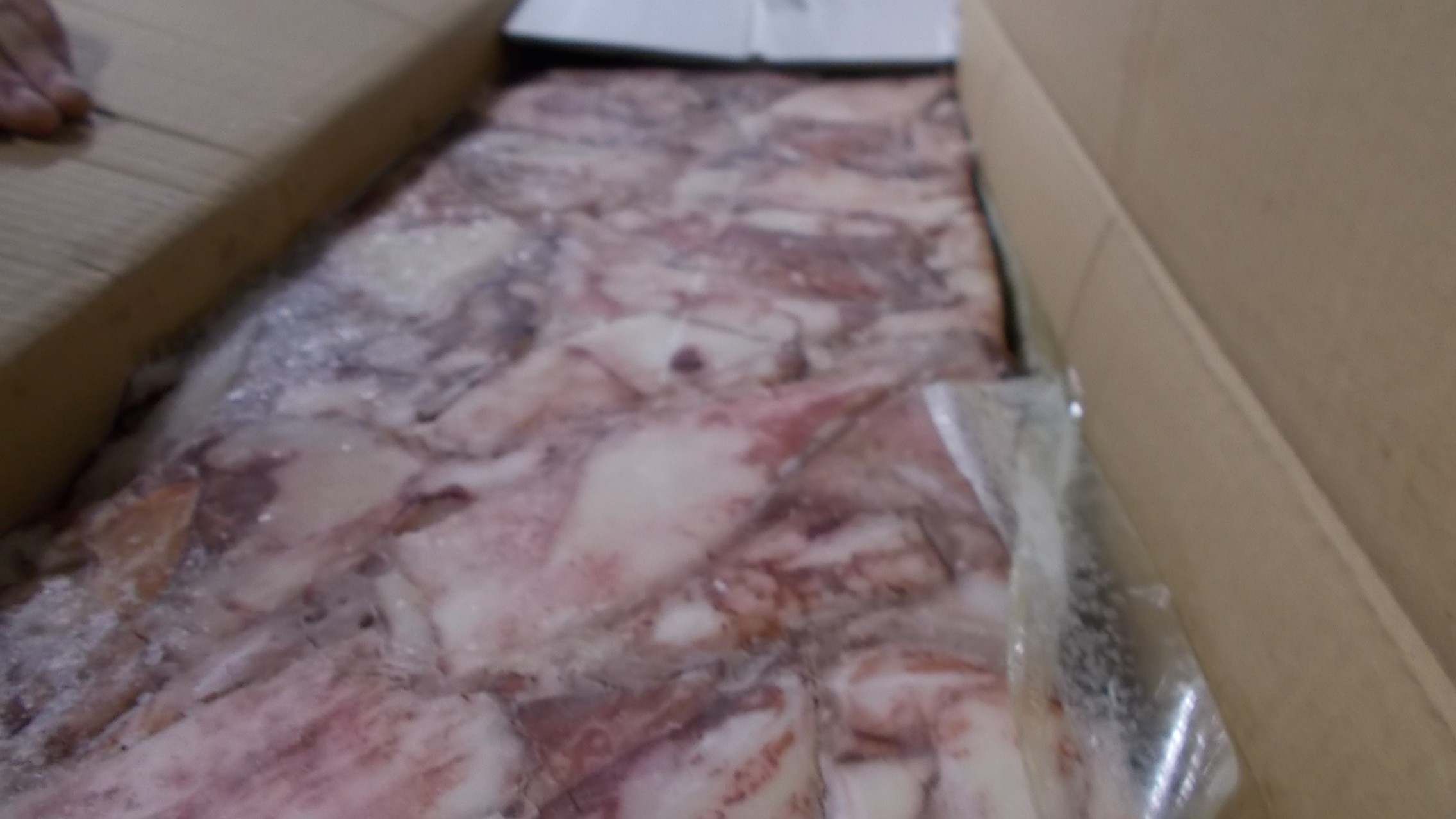 Random inspection of boxes with allegedly damaged frozen cargo