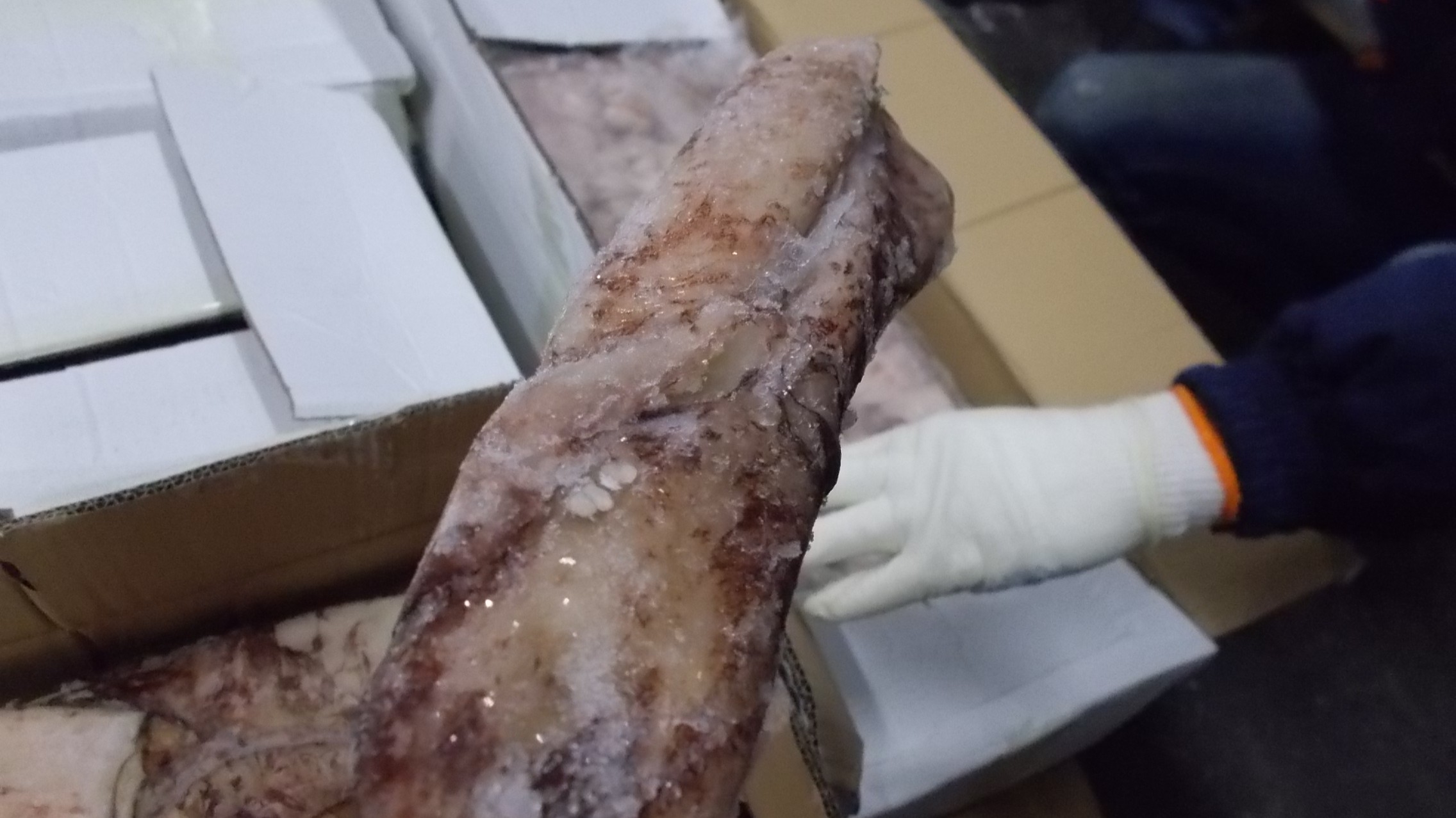 Random inspection of boxes with allegedly damaged frozen cargo. Visual condiotn