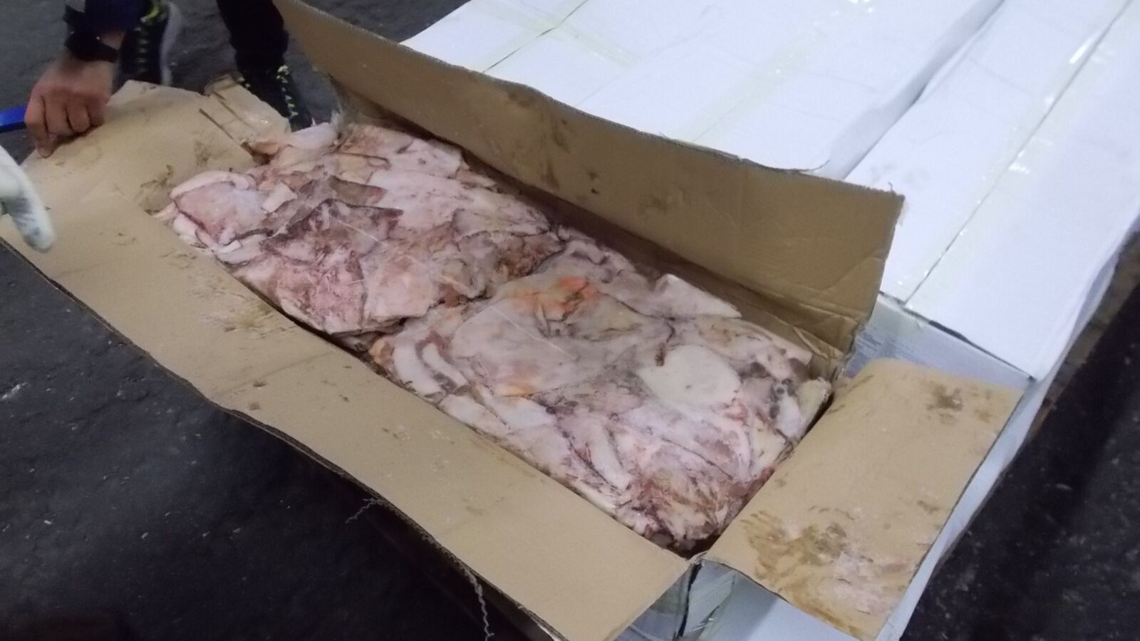 Random inspection of boxes with allegedly damaged frozen cargo. Visual condiotn