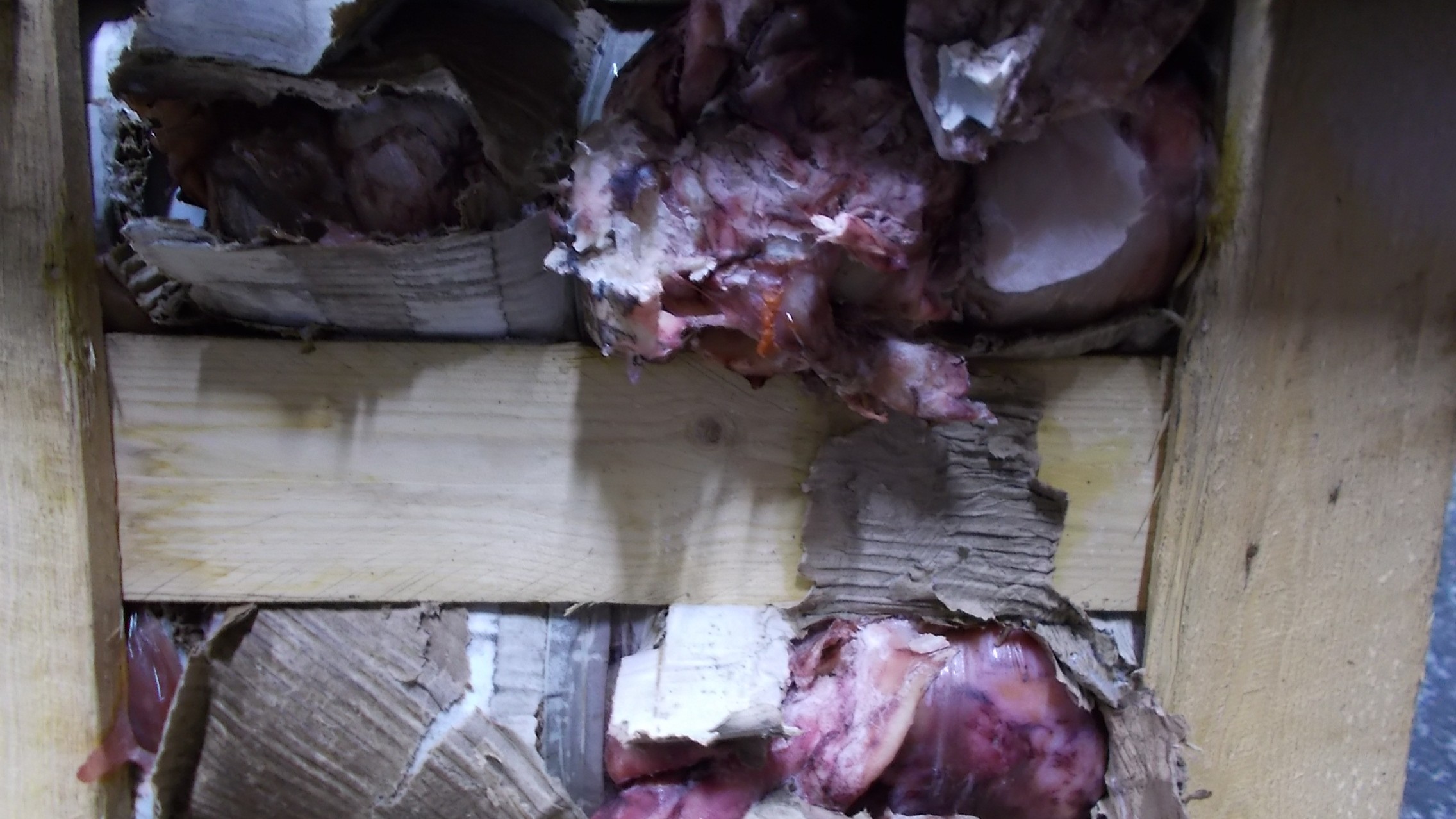 Random inspection of boxes with allegedly damaged frozen cargo. Visual condiotn