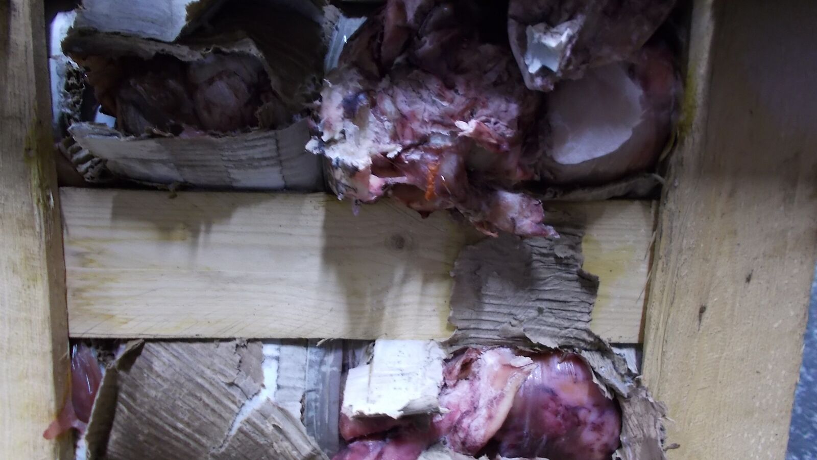 Random inspection of boxes with allegedly damaged frozen cargo. Visual condiotn