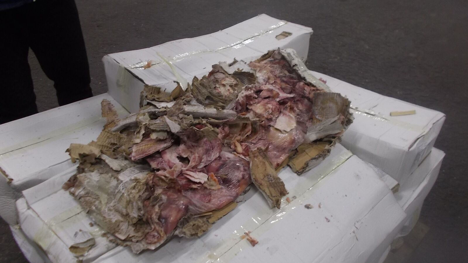 Damage to frozen cargo. Visual condition