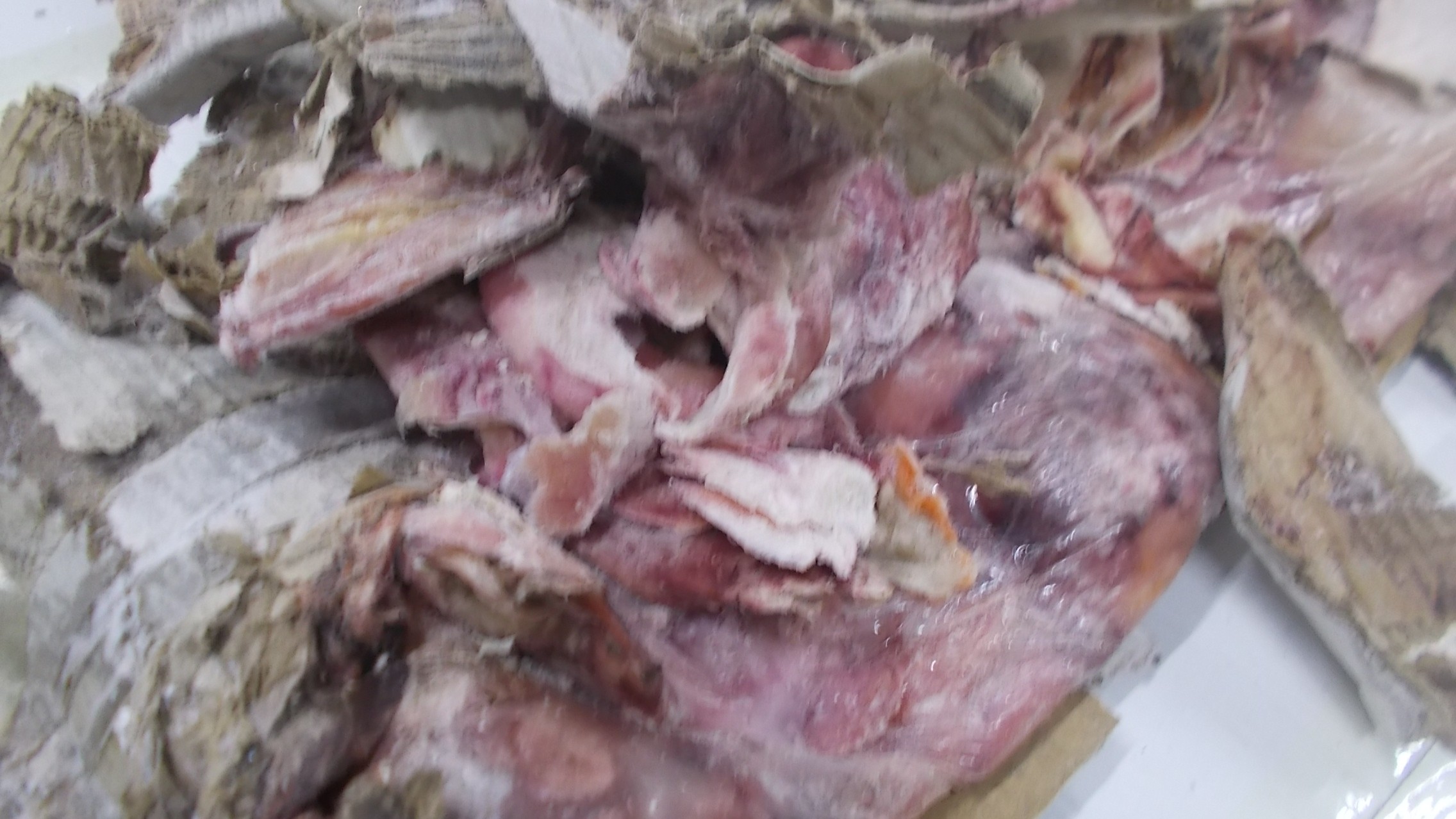 Damage to frozen cargo. Visual condition
