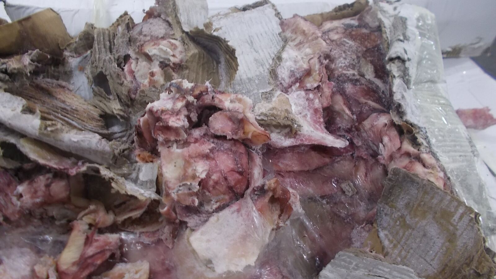 Damage to frozen cargo. Visual condition