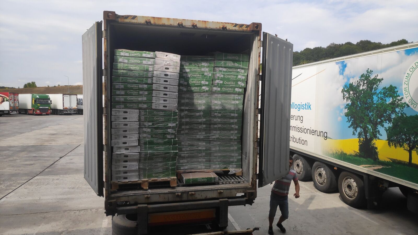 Opening of the container with allegedly damaged frozen cargo