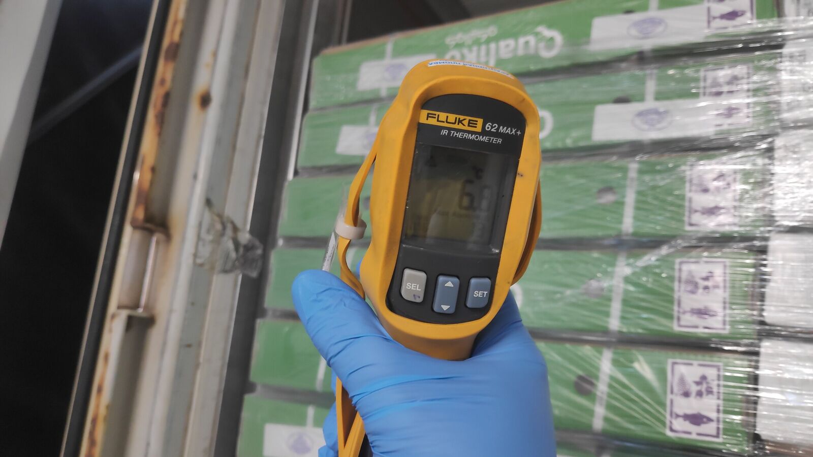 Opening of the container with allegedly damaged frozen cargo. Temperature measurement