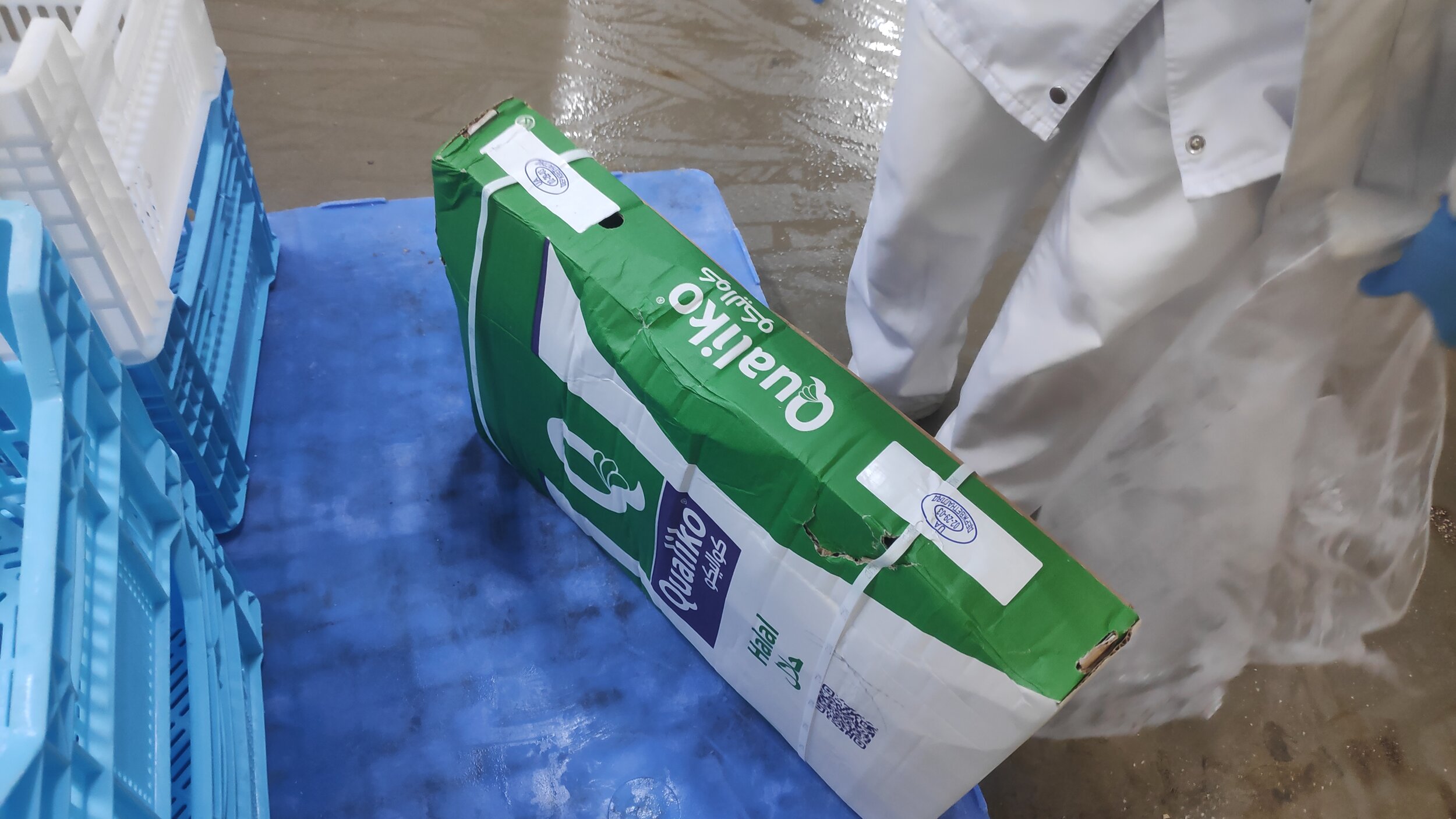 Random inspection of boxes with allegedly damaged frozen cargo