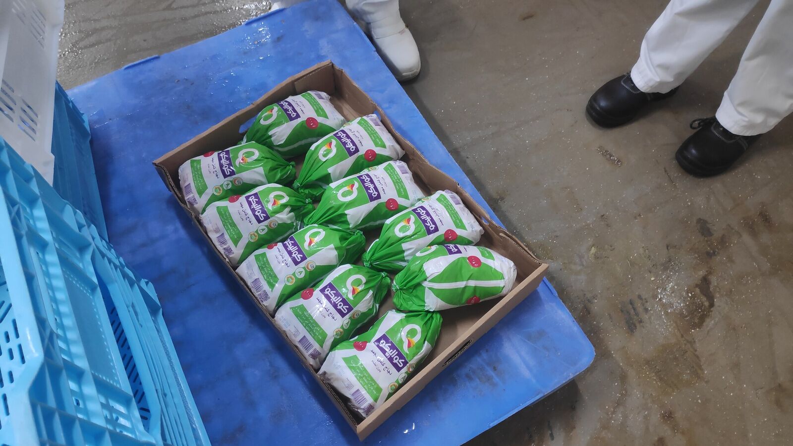 Random inspection of boxes with allegedly damaged frozen cargo