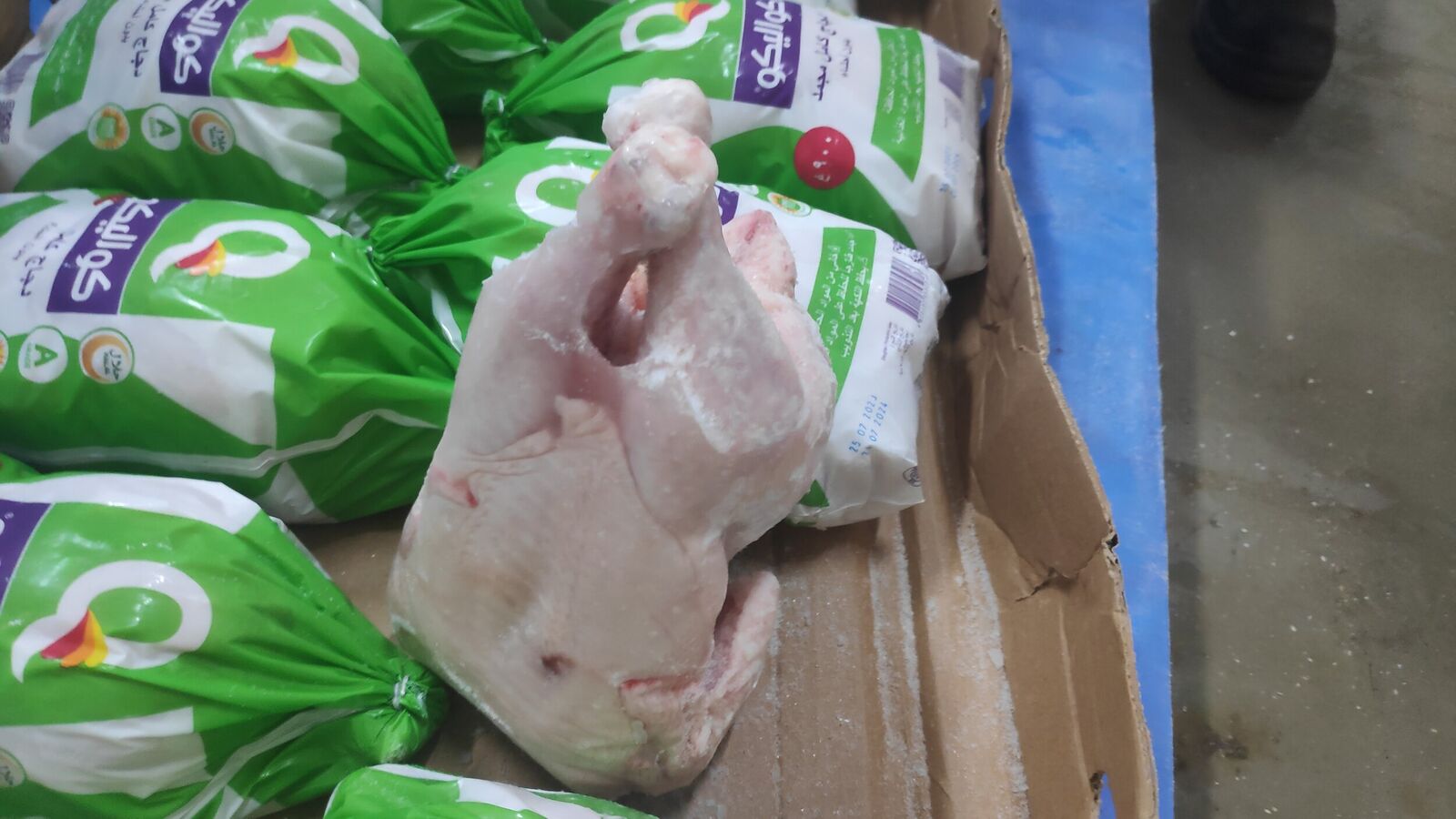 Random inspection of boxes with allegedly damaged frozen cargo. Visual condition