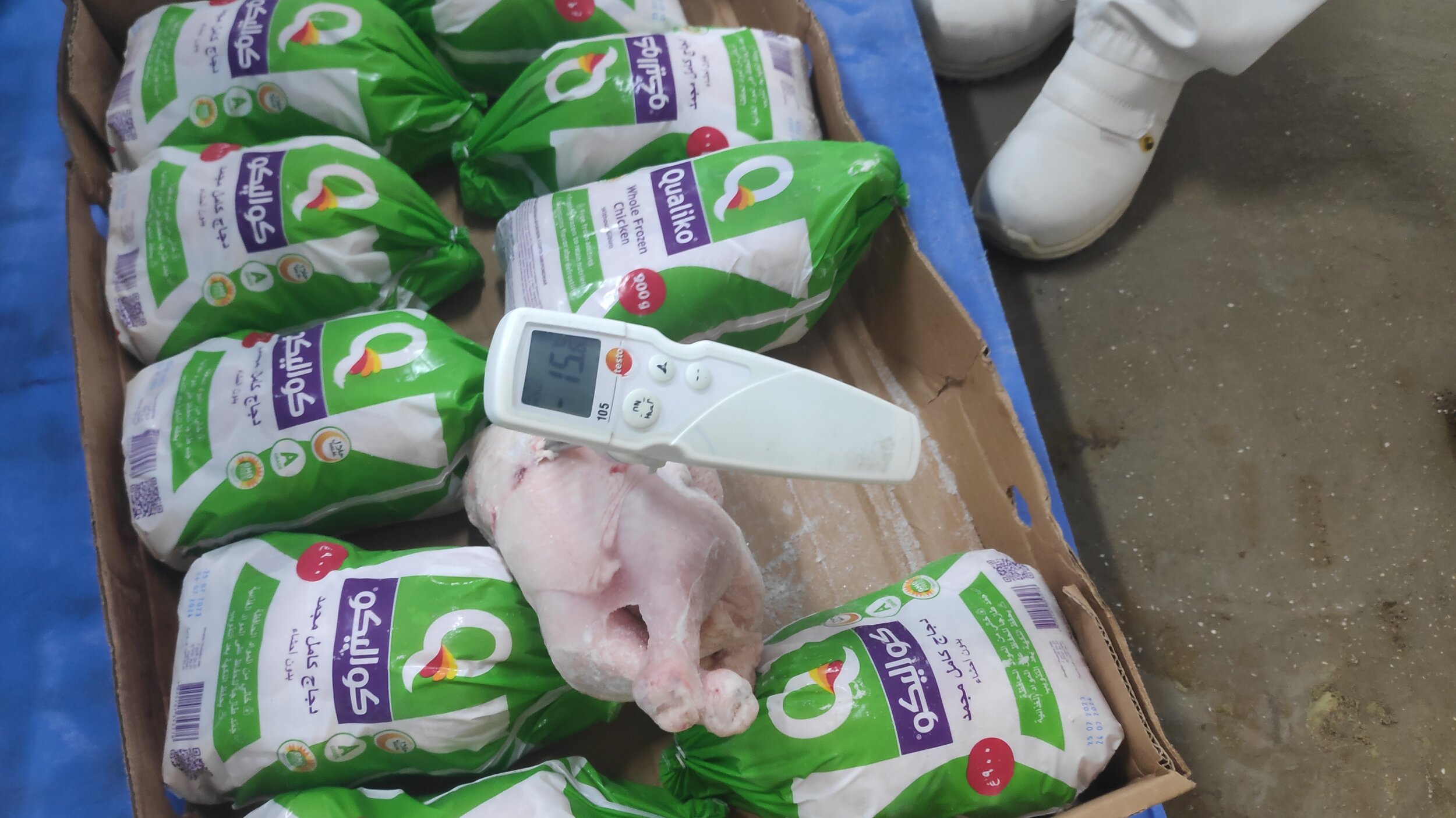 Random inspection of boxes with allegedly damaged frozen cargo. Temperature measurement