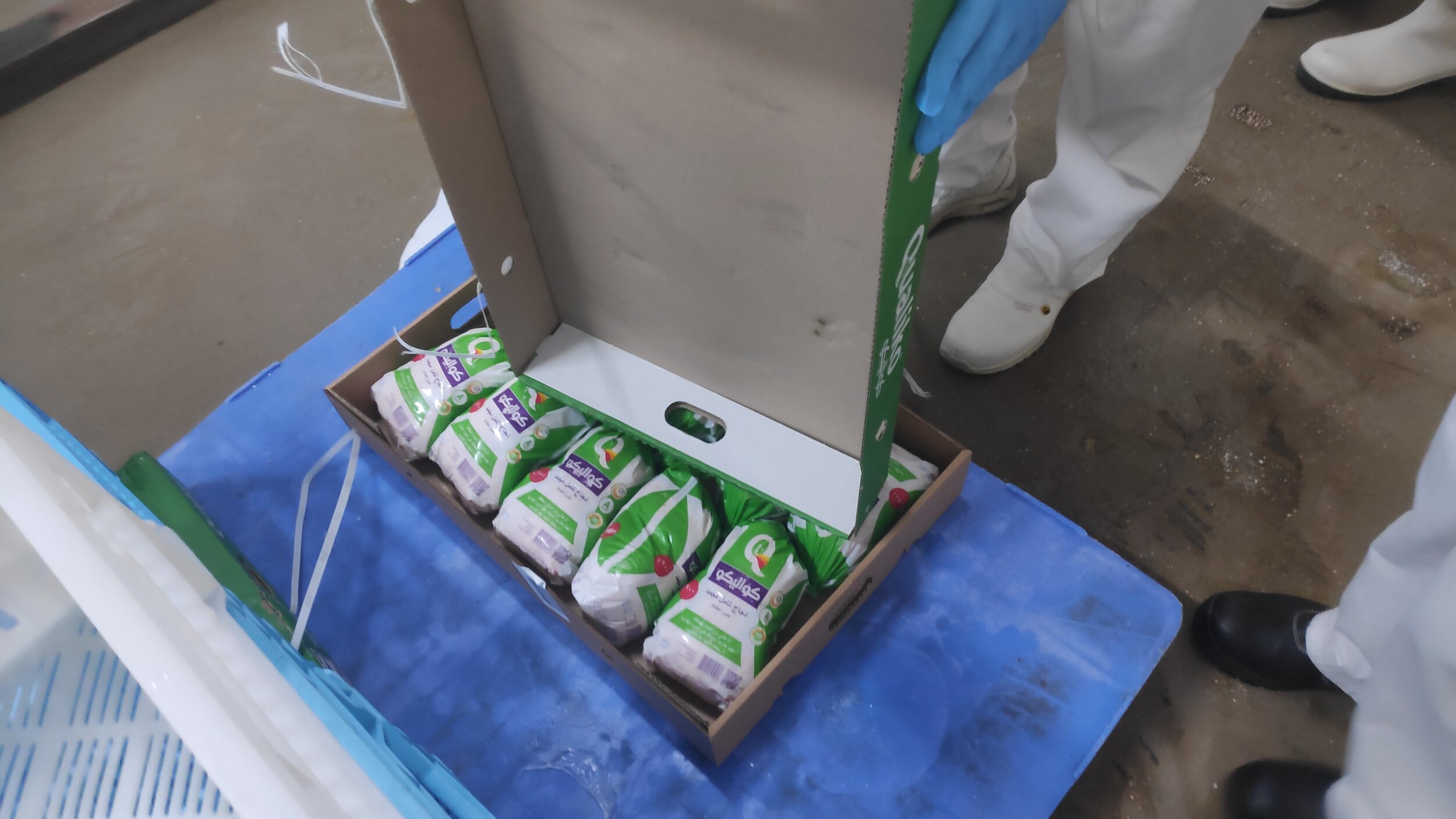 Random inspection of boxes with allegedly damaged frozen cargo