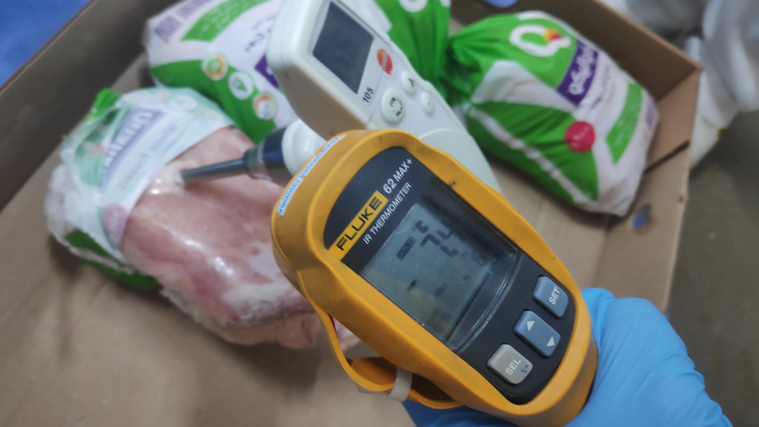 Random inspection of boxes with allegedly damaged frozen cargo. Temperature measurement