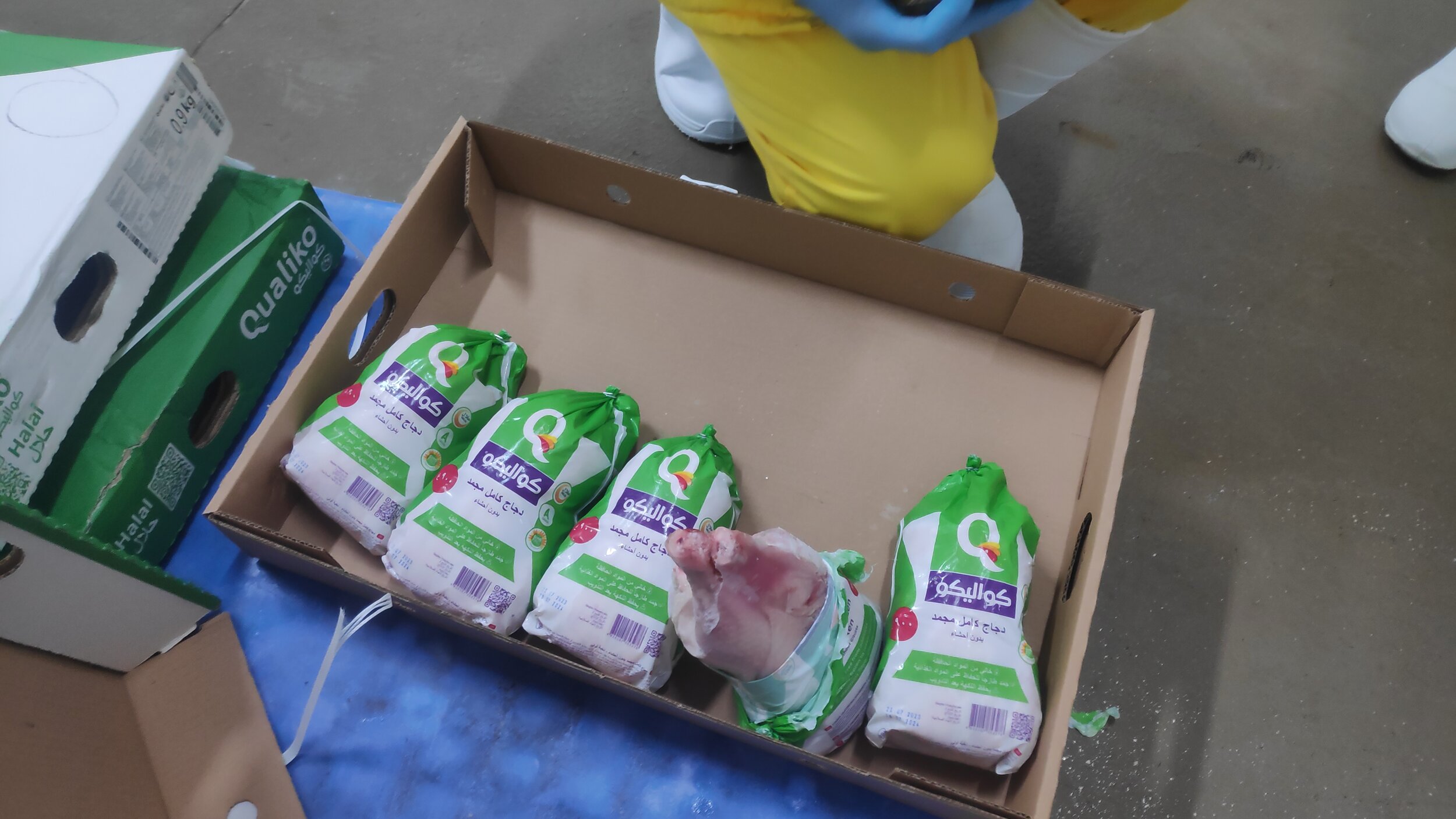Random inspection of boxes with allegedly damaged frozen cargo