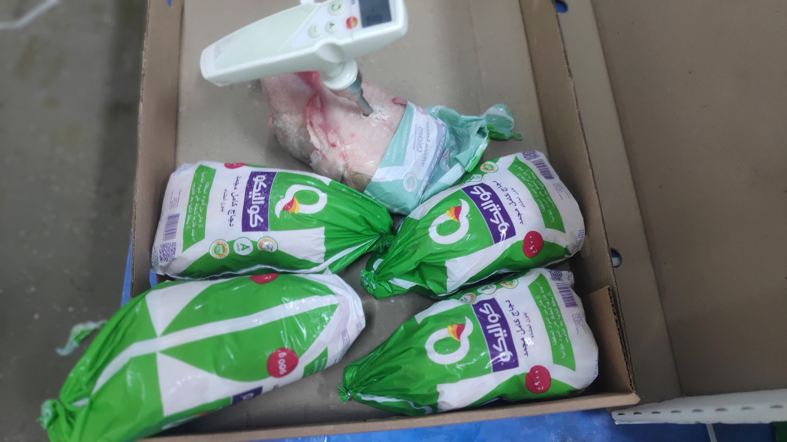 Random inspection of boxes with allegedly damaged frozen cargo. Temperature measurement