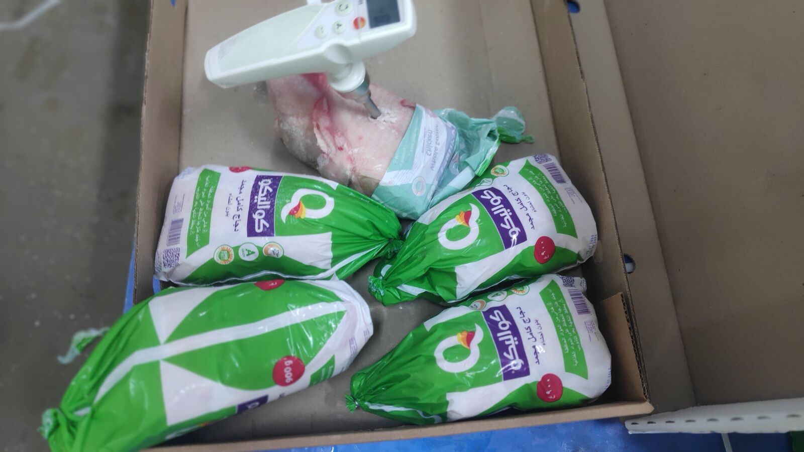 Random inspection of boxes with allegedly damaged frozen cargo. Temperature measurement