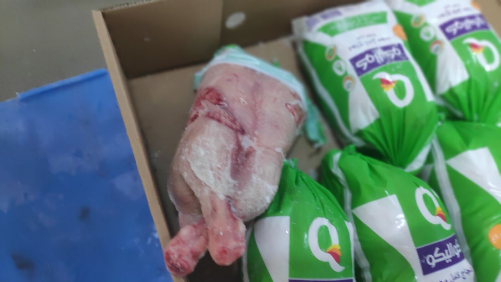 Random inspection of boxes with allegedly damaged frozen cargo