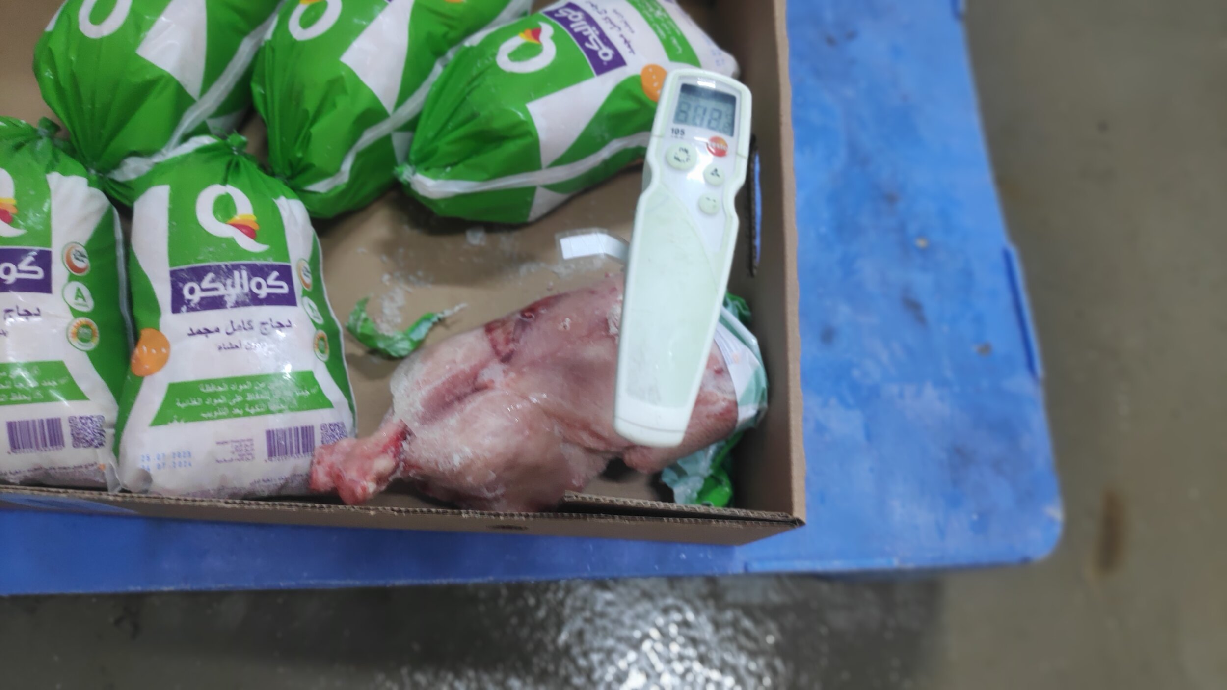 Random inspection of boxes with allegedly damaged frozen cargo. Temperature measurement