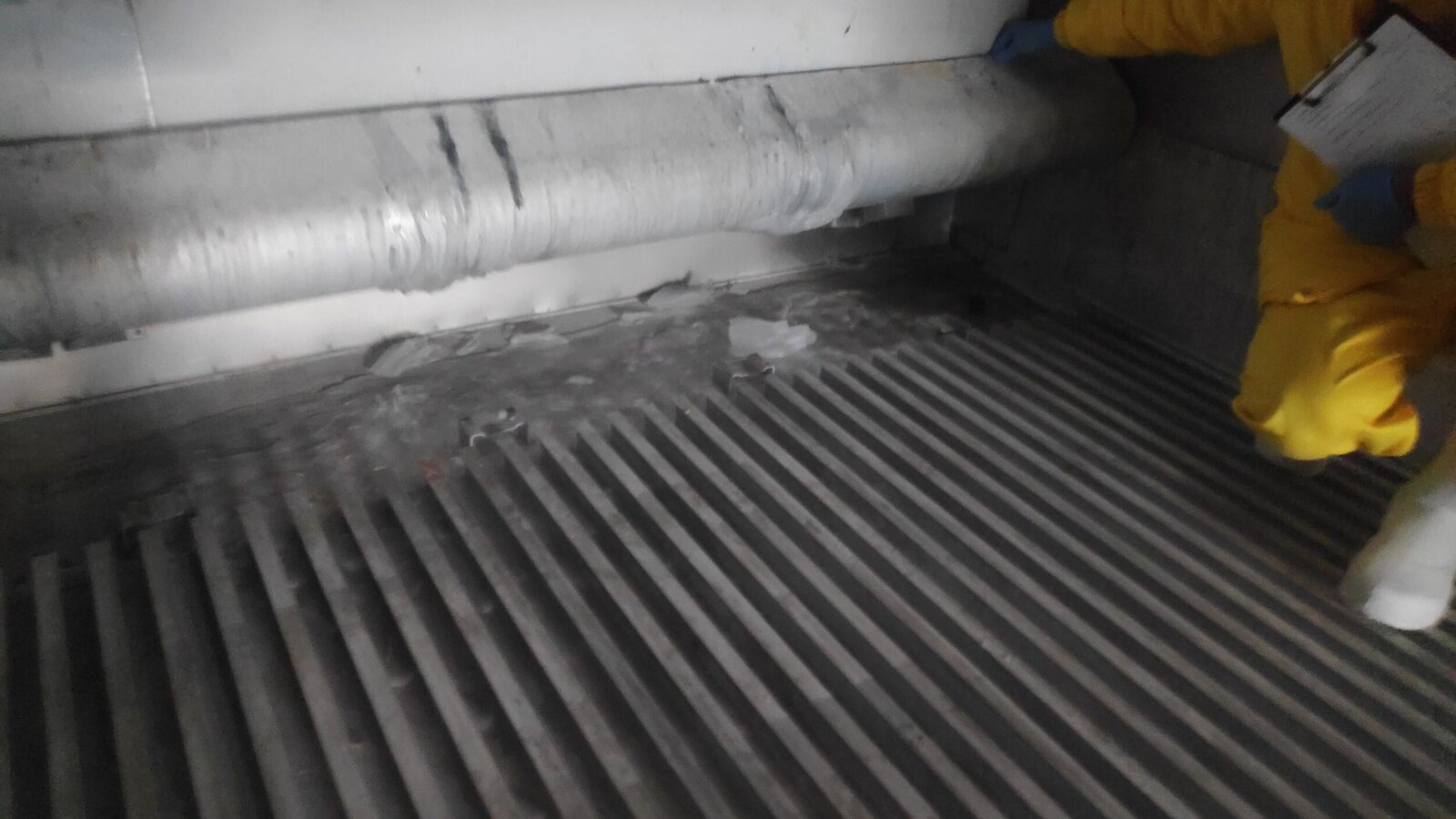 Inspection of empty container after discharging of allegedly damaged frozen cargo