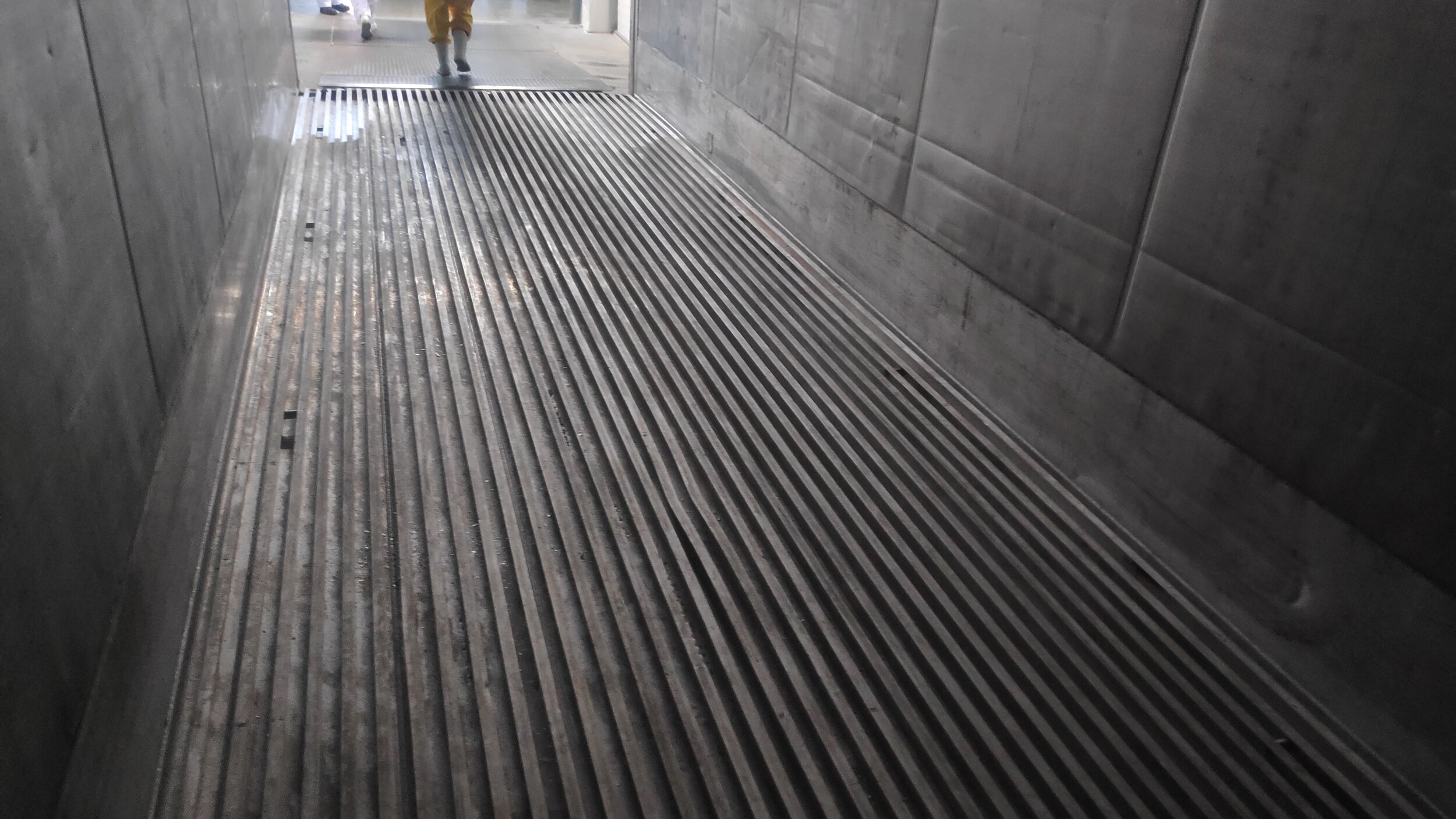 Inspection of empty container after discharging of allegedly damagede frozen cargo