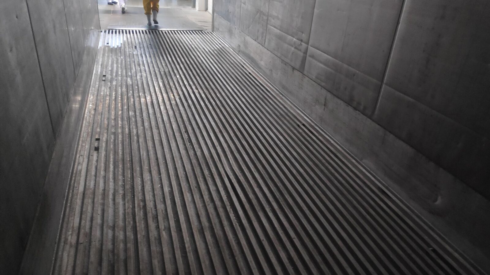 Inspection of empty container after discharging of allegedly damaged frozen cargo