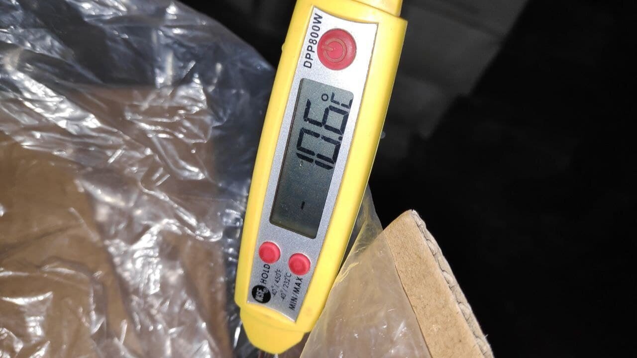 Random inspection of boxes with allegedly damaged frozen cargo. Temperature measurement