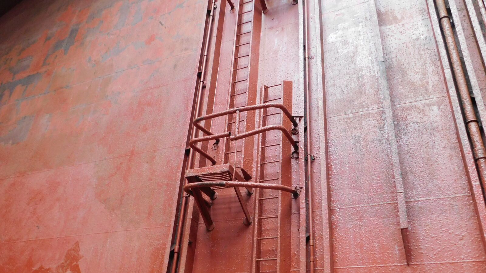 Hold bulkhead with vertical ladders
