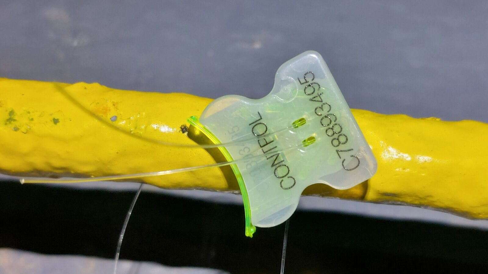 Hold's manhole sealed with plastic numbered clip seal