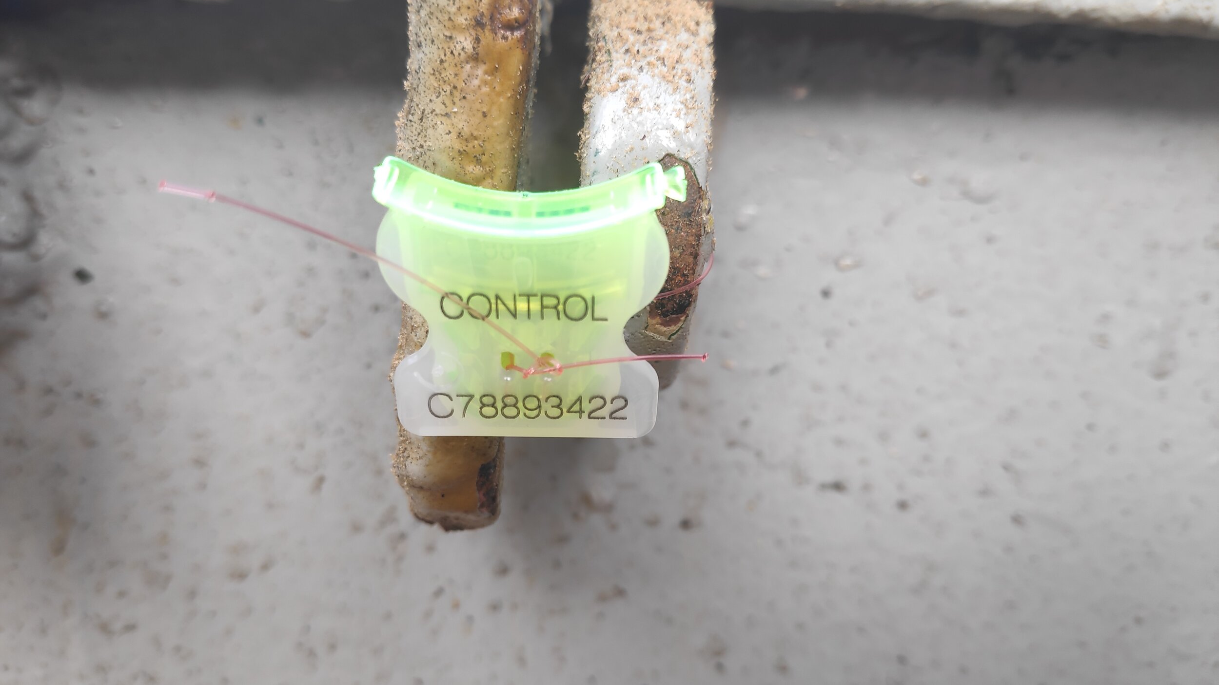 Manhole sealed with plastic numbered clip seal