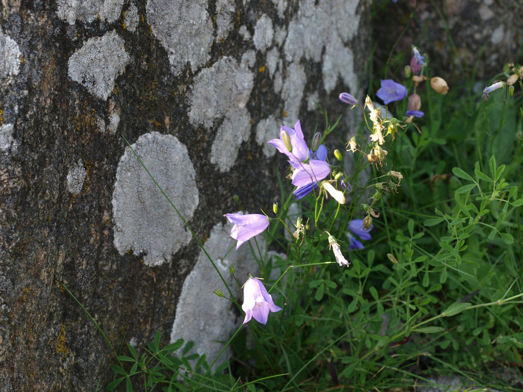 2. päivän fiilis