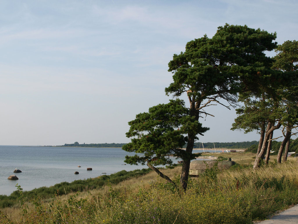 Tofta strand