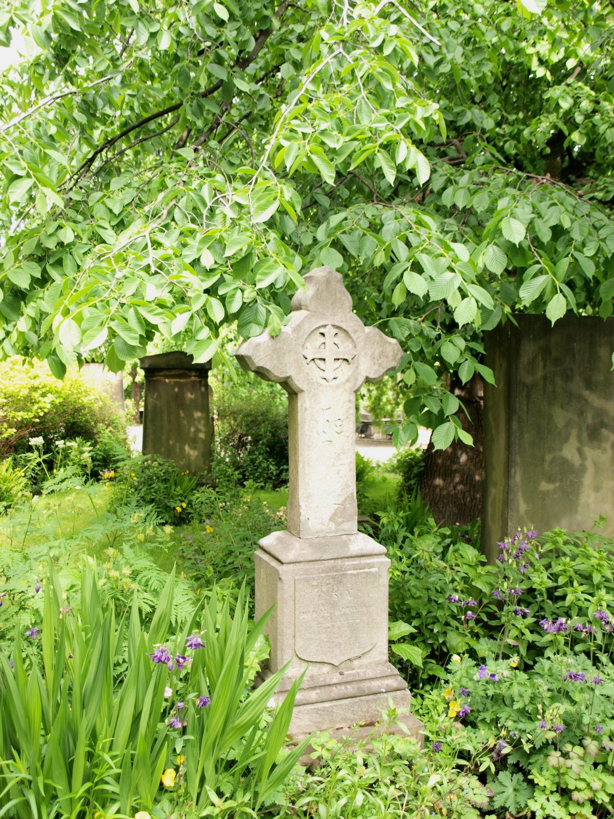 P6148075