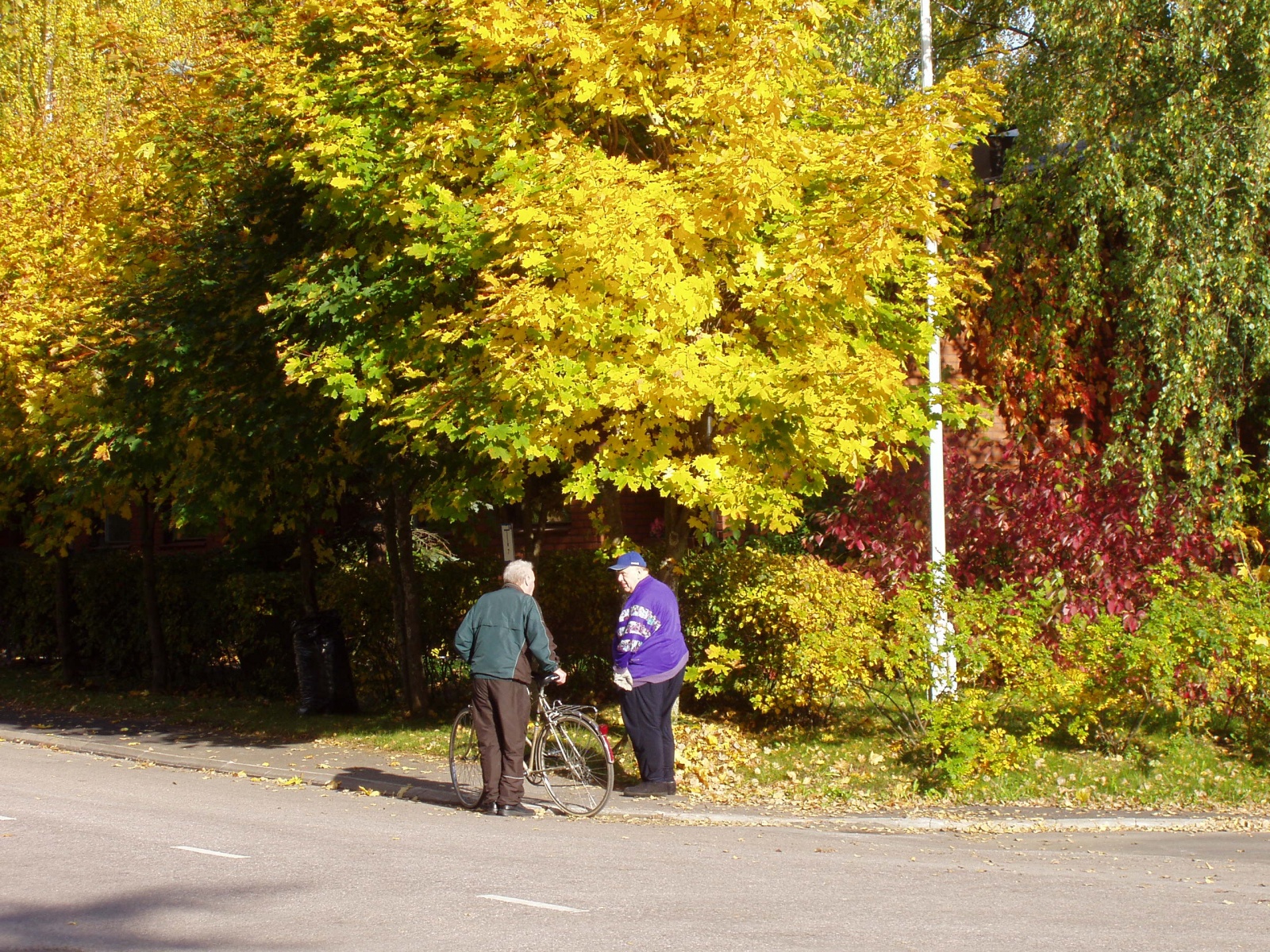 20081001_35