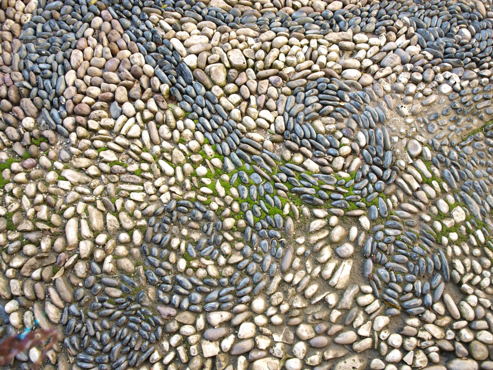 PC248730