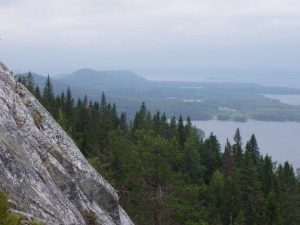 Koli