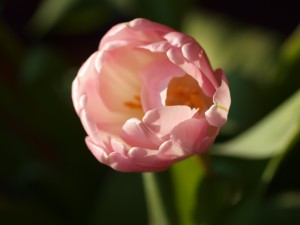 P3250156