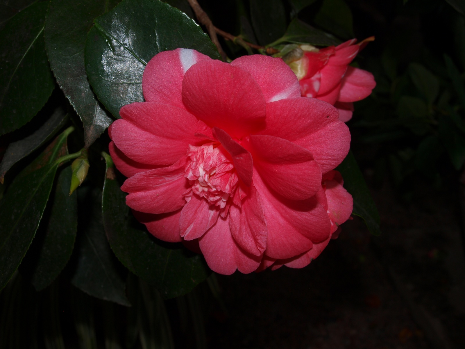 P3210856