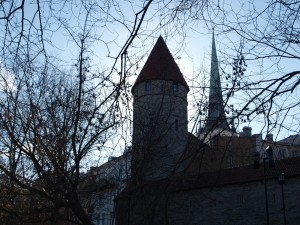 P3172186
