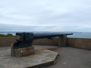 P5182424