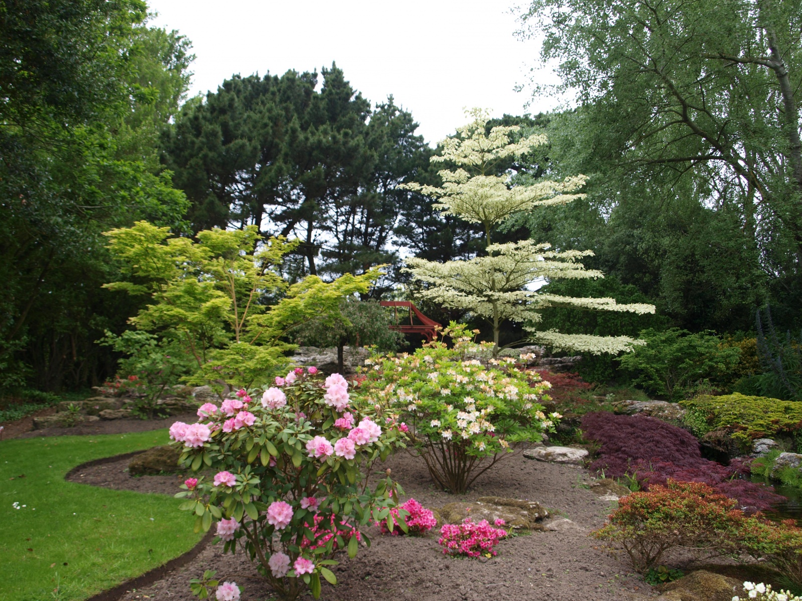 Japanese Garden