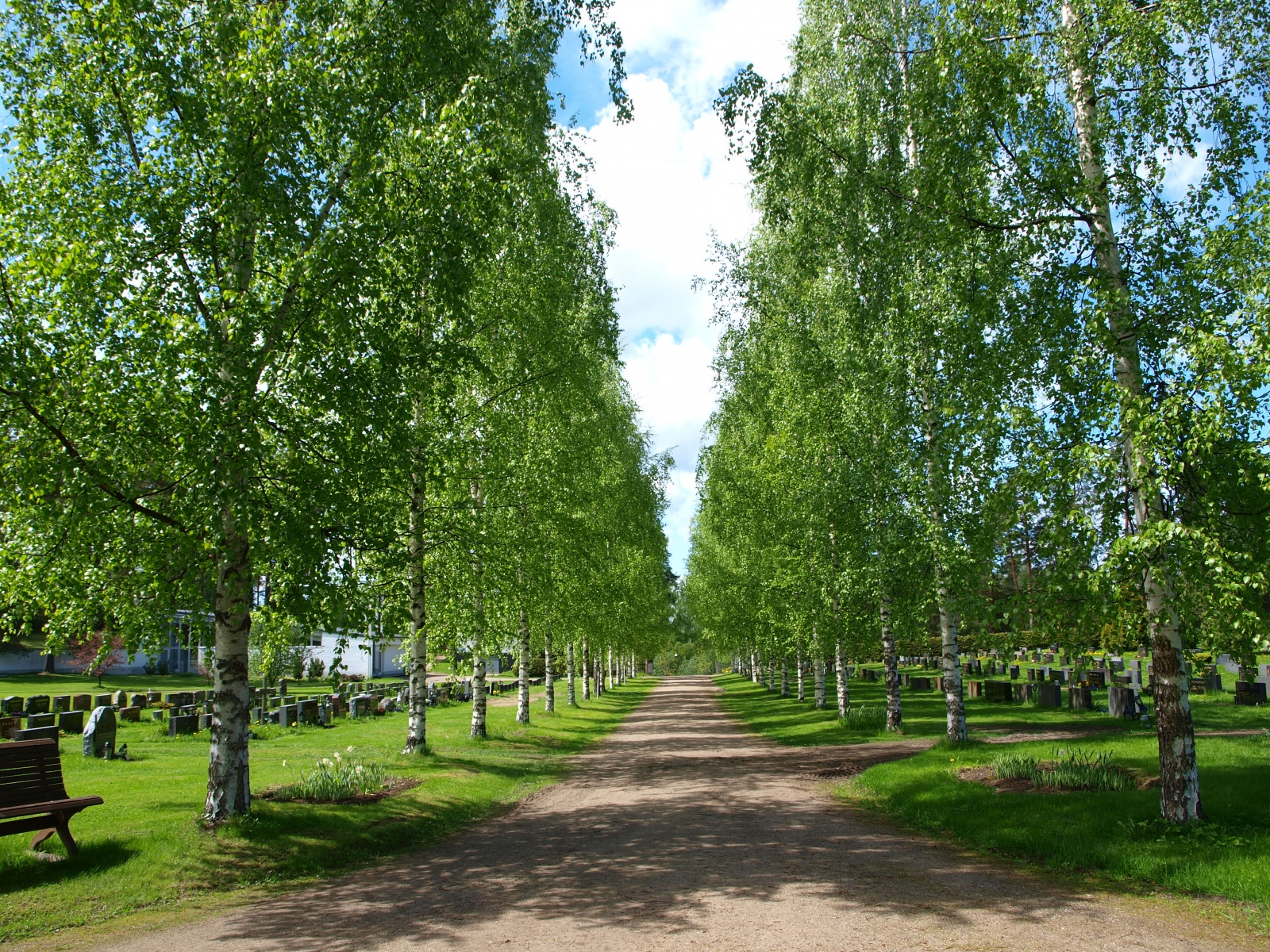 P5282795