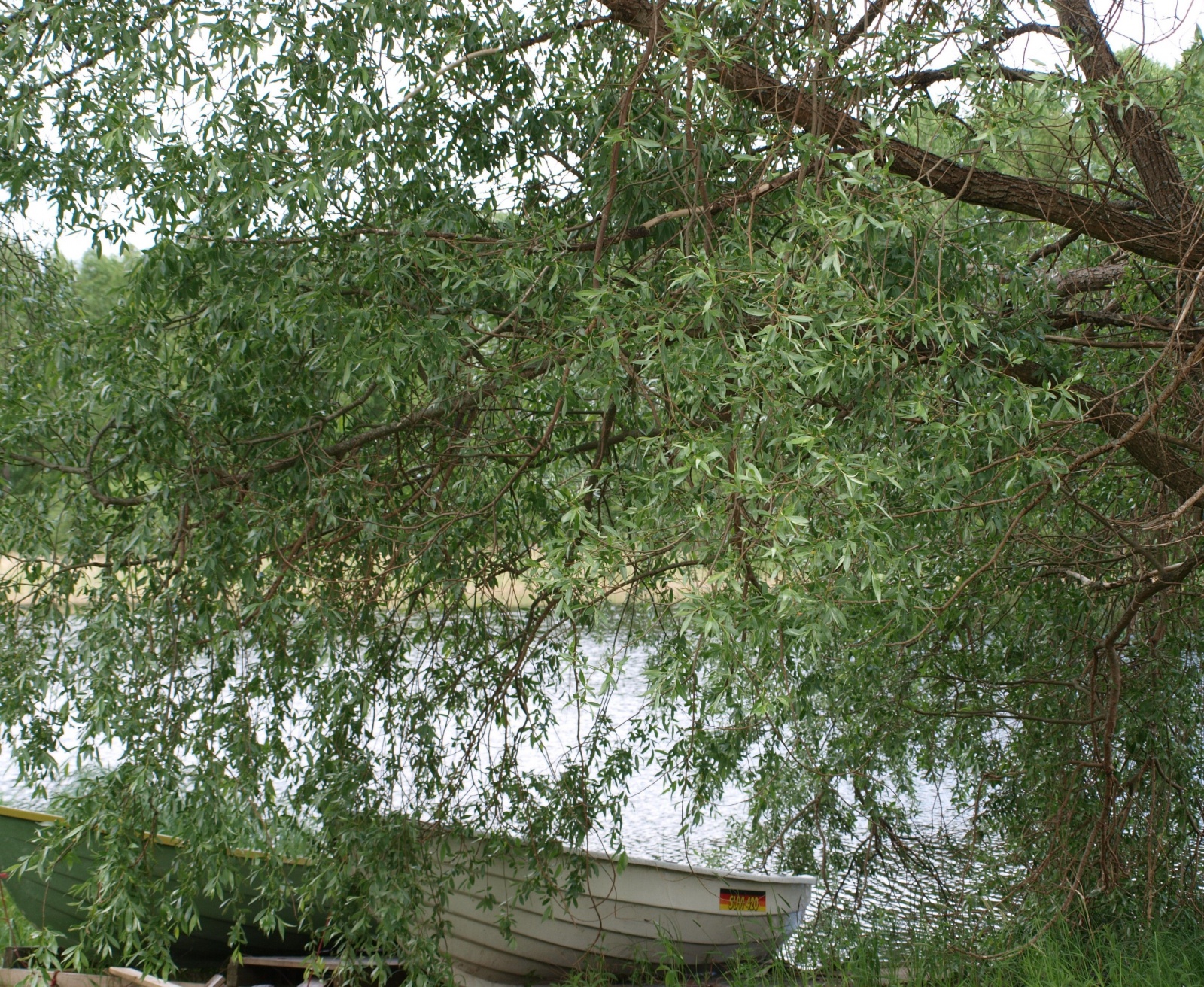 juhannusyö Savossa