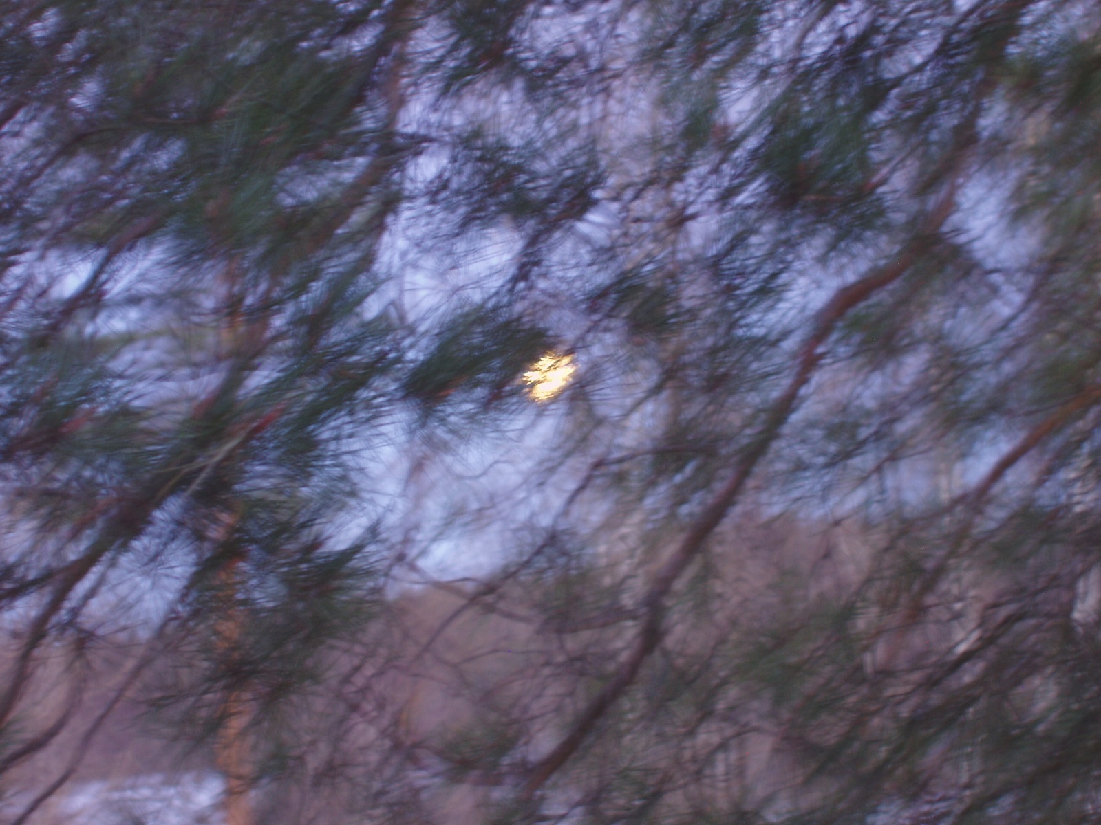 20080420_46