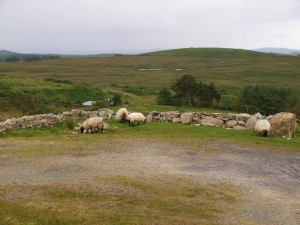 P7134171