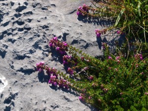 P7144234