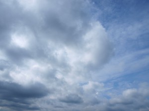P8234557