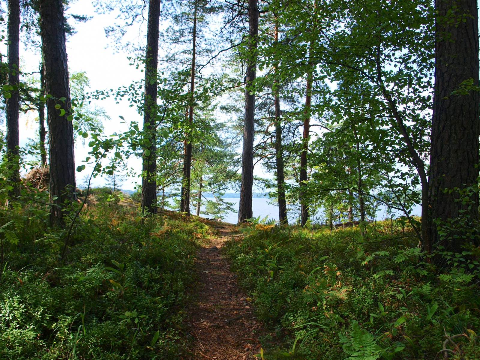 P8234544