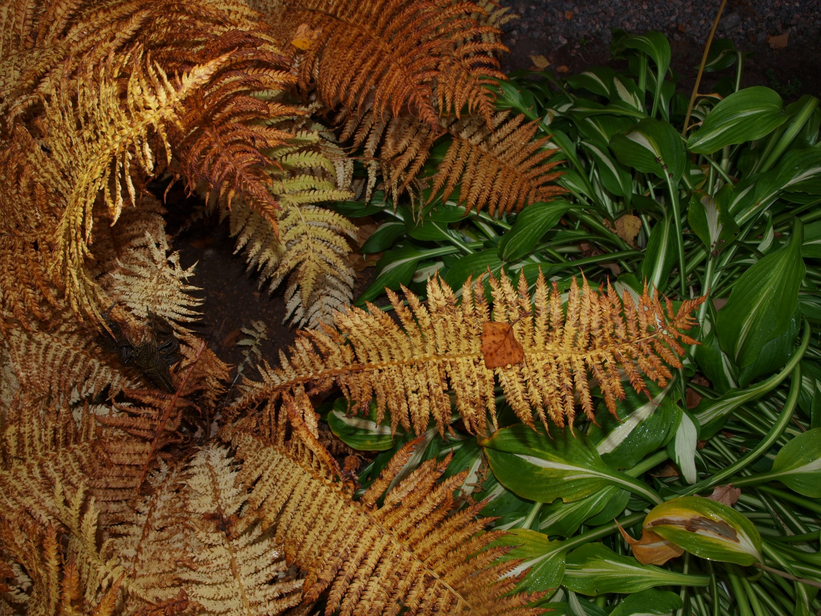 P9284682