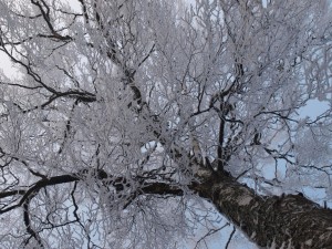P1103504